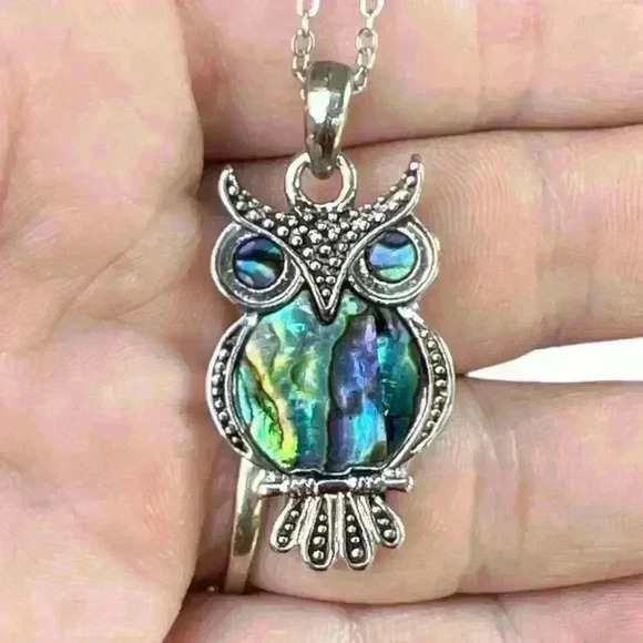 🎉2/$17🎉 Cute iridescent abalone shell silver owl necklace - Picture 1 of 6